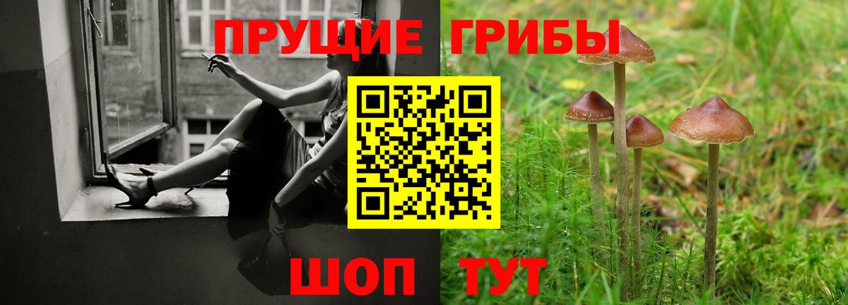 Конаково  Галлюциногенные грибы мухоморы  Вход с VPN  Галлюциногенные грибы прущие грибы 